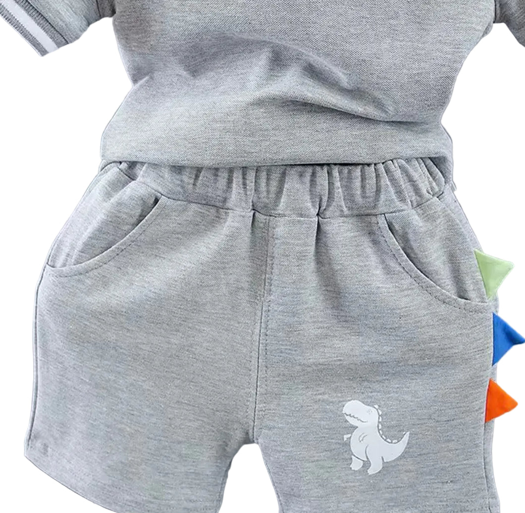 Kids Boys Lightweight Dinosaur Polo Shirt & Shorts Set. 3 Colours 12M-5Y