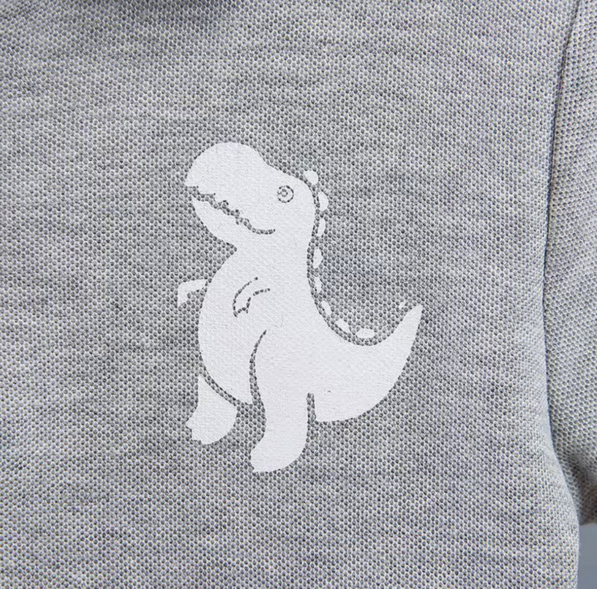 Kids Boys Lightweight Dinosaur Polo Shirt & Shorts Set. 3 Colours 12M-5Y