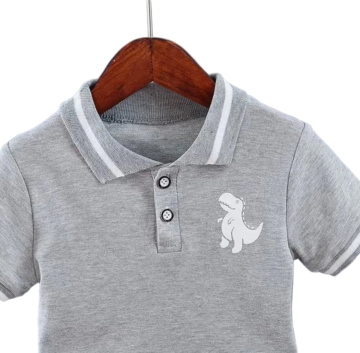Kids Boys Lightweight Dinosaur Polo Shirt & Shorts Set. 3 Colours 12M-5Y