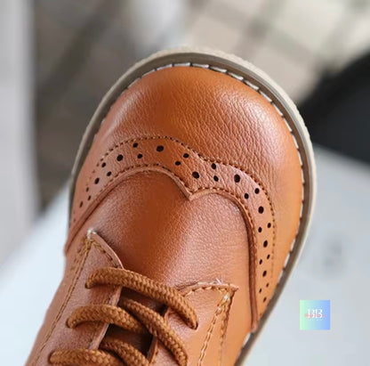 Close-up of a brown leather shoe with laces on a blurred background