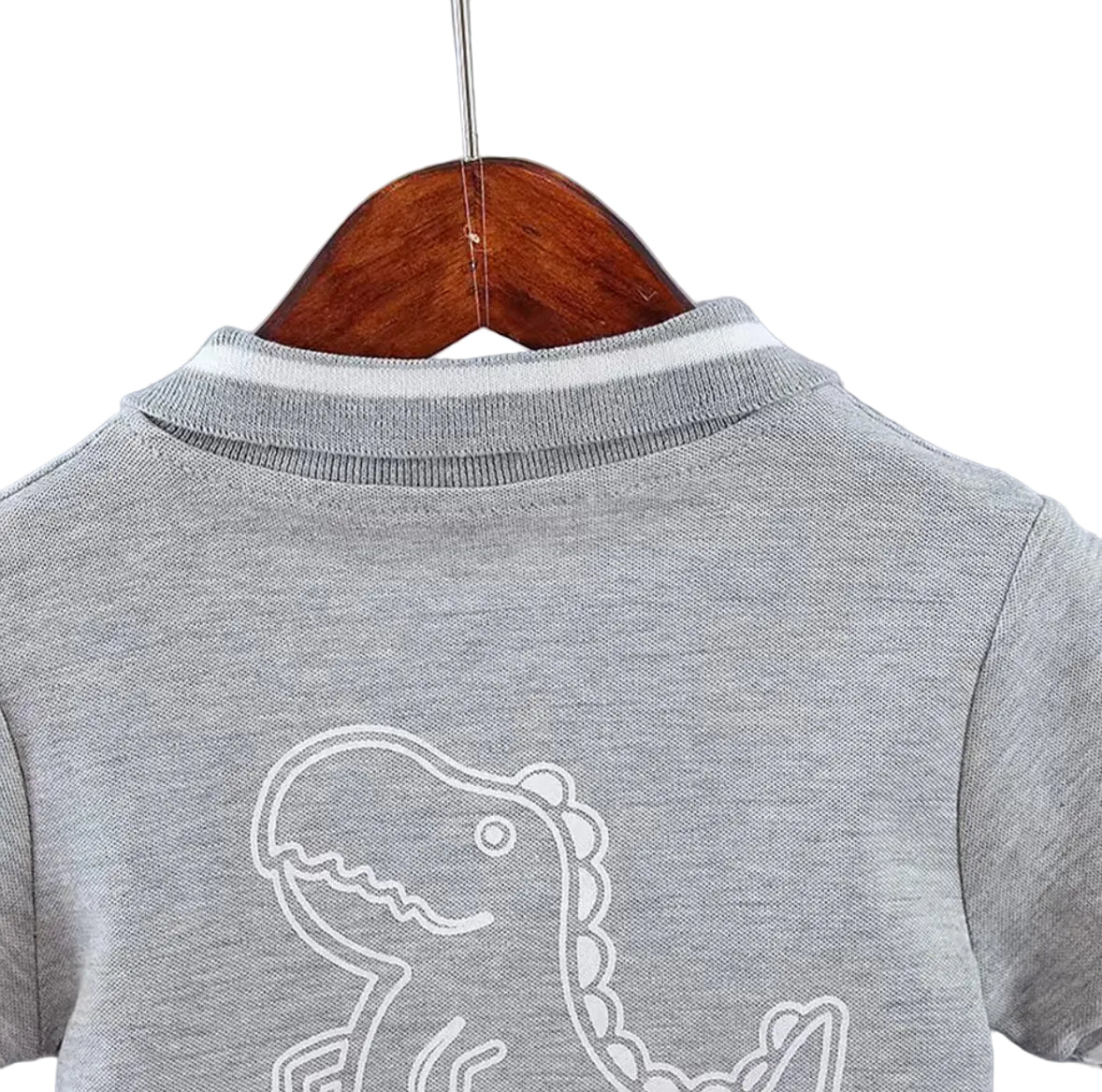 Kids Boys Lightweight Dinosaur Polo Shirt & Shorts Set. 3 Colours 12M-5Y